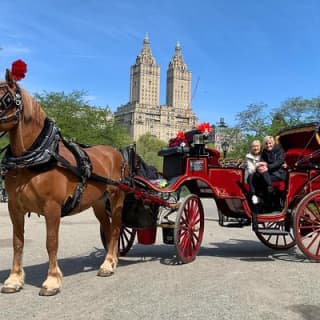Official NYC Horse Carriage Rides in Central Park since 1979 ™