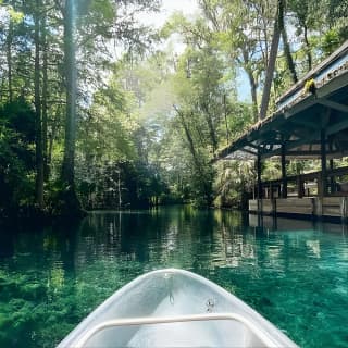 Glass Bottom Kayak Tours of Silver Springs