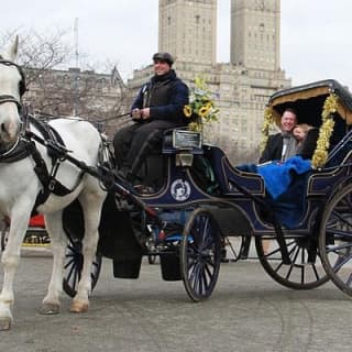 Official NYC Horse Carriage Rides in Central Park since 1979 ™