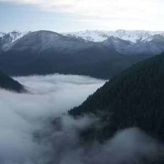 Olympic National Park: All-Inclusive Small Group Day Trip from Seattle