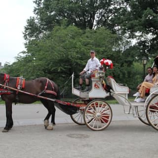 Official NYC Horse Carriage Rides in Central Park since 1979 ™