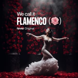 ﻿We call it Flamenco: a unique Spanish dance show