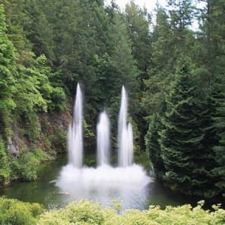 The Butchart Gardens Express Shuttle