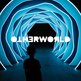 OTHERWORLD: An Immersive Art and Light Experience