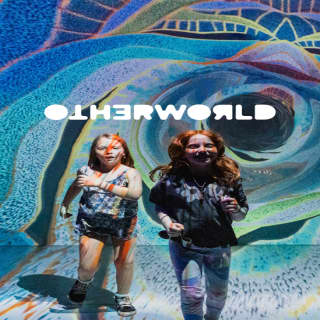 OTHERWORLD: An Immersive Art and Light Experience