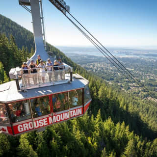 Grouse Mountain & Capilano Suspension Bridge Park: Guided Tour