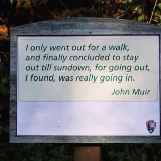 Muir Woods: Half-Day Trip from San Fransisco