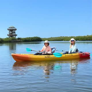 2 Hours Guided Robinson Preserve Mangrove Tour