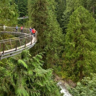 Grouse Mountain & Capilano Suspension Bridge Park: Guided Tour