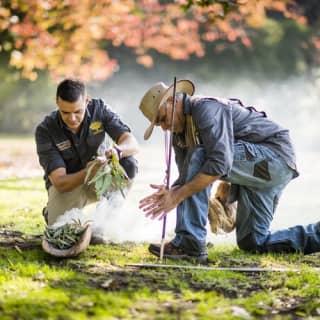 Royal Botanic Gardens Victoria: Aboriginal Heritage Walk