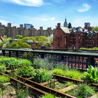 Hudson Yards, The High Line & Vessel Tour