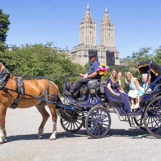 Official NYC Horse Carriage Rides in Central Park since 1979 ™