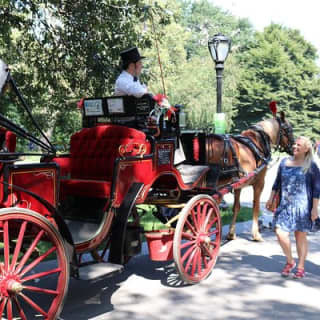 Official NYC Horse Carriage Rides in Central Park since 1979 ™