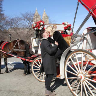 Official NYC Horse Carriage Rides in Central Park since 1979 ™