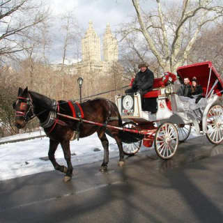 Official NYC Horse Carriage Rides in Central Park since 1979 ™