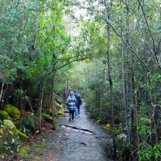 2-Hour Return kunanyi.Mt Wellington Explorer Bus