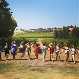 Laid back,Small-Group Yarra Valley Wine Tour :Wine,Gin,Cider+more