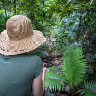 Daintree and Cape Tribulation Full-Day Tour