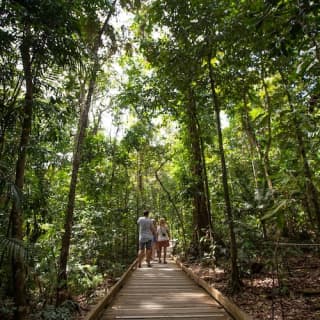 Daintree and Cape Tribulation Full-Day Tour