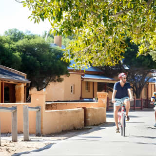 Experience Rottnest with Ferry & Bike Hire