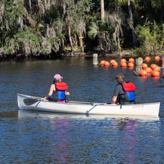  St. Johns River Nature Cruise at Blue Spring State Park 