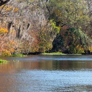  St. Johns River Nature Cruise at Blue Spring State Park 