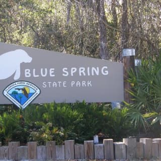  St. Johns River Nature Cruise at Blue Spring State Park 