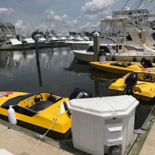 Speed Boat Adventure Charleston