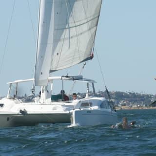 2.5-Hour Catamaran Sail Adventure