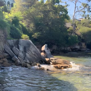 Our Best Hidden Harbour Beaches Tour