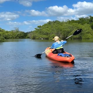 2 Hours Guided Robinson Preserve Mangrove Tour