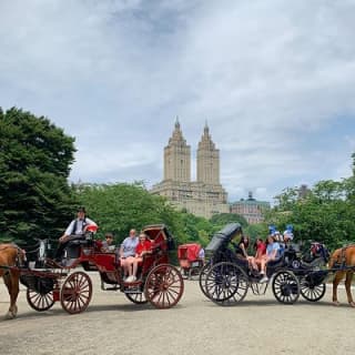 Official NYC Horse Carriage Rides in Central Park since 1979 ™