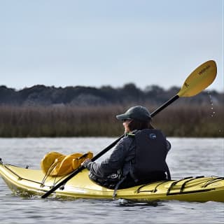 2-Hour Guided Kayak Eco Tour in Charleston