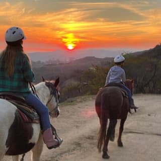 Mulholland Trail Horseback Tour