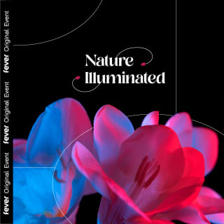 Nature Illuminated: Seizoenen in harmonie