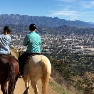 Mulholland Trail Horseback Tour