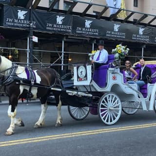 Official NYC Horse Carriage Rides in Central Park since 1979 ™