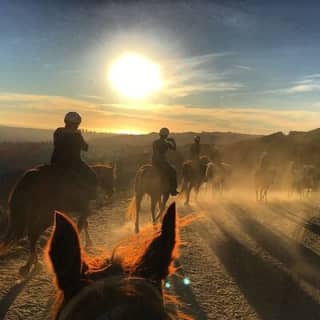 Mulholland Trail Horseback Tour