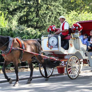 Official NYC Horse Carriage Rides in Central Park since 1979 ™