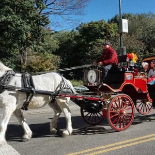 Official NYC Horse Carriage Rides in Central Park since 1979 ™