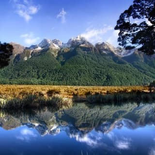 Luxury Milford Sound Coach and Scenic Cruise 