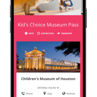 Houston Kid's Choice: Museum Pass