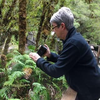 Luxury Milford Sound Coach and Scenic Cruise 