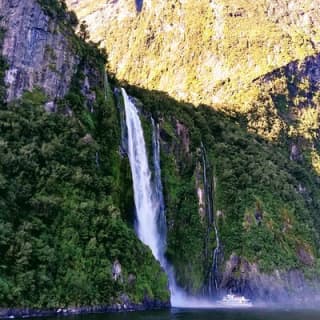 Luxury Milford Sound Coach and Scenic Cruise 