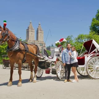 Official NYC Horse Carriage Rides in Central Park since 1979 ™