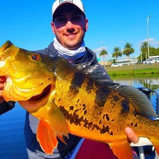 Peacock Bass Fishing Trips Near Miami Florida