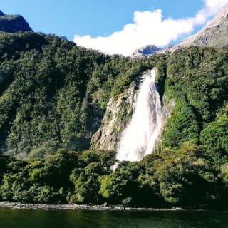 Luxury Milford Sound Coach and Scenic Cruise 