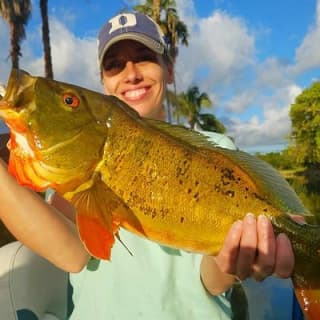 Peacock Bass Fishing Trips Near Miami Florida