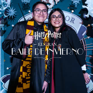 Harry Potter: A Yule Ball Celebration