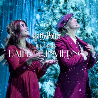 Harry Potter: A Yule Ball Celebration